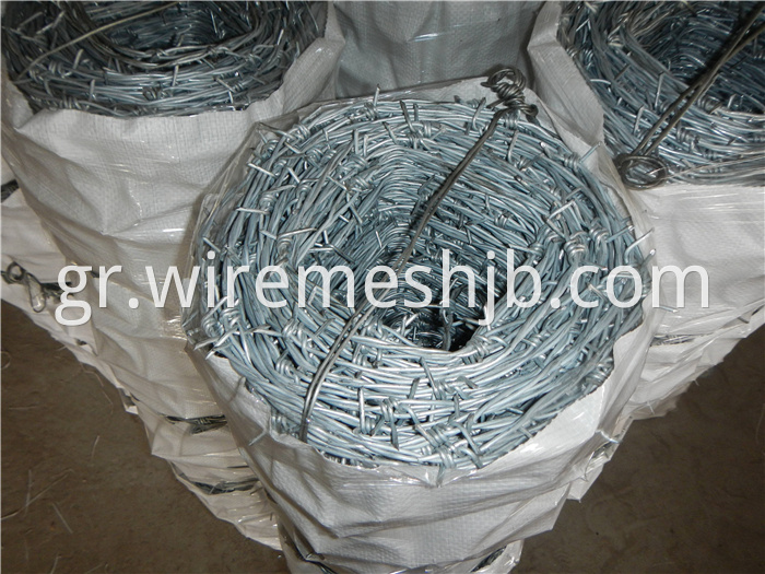 Galvanized Barbed Wire